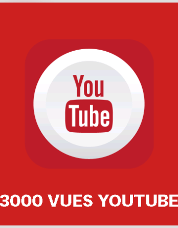article 3000 vues youtube